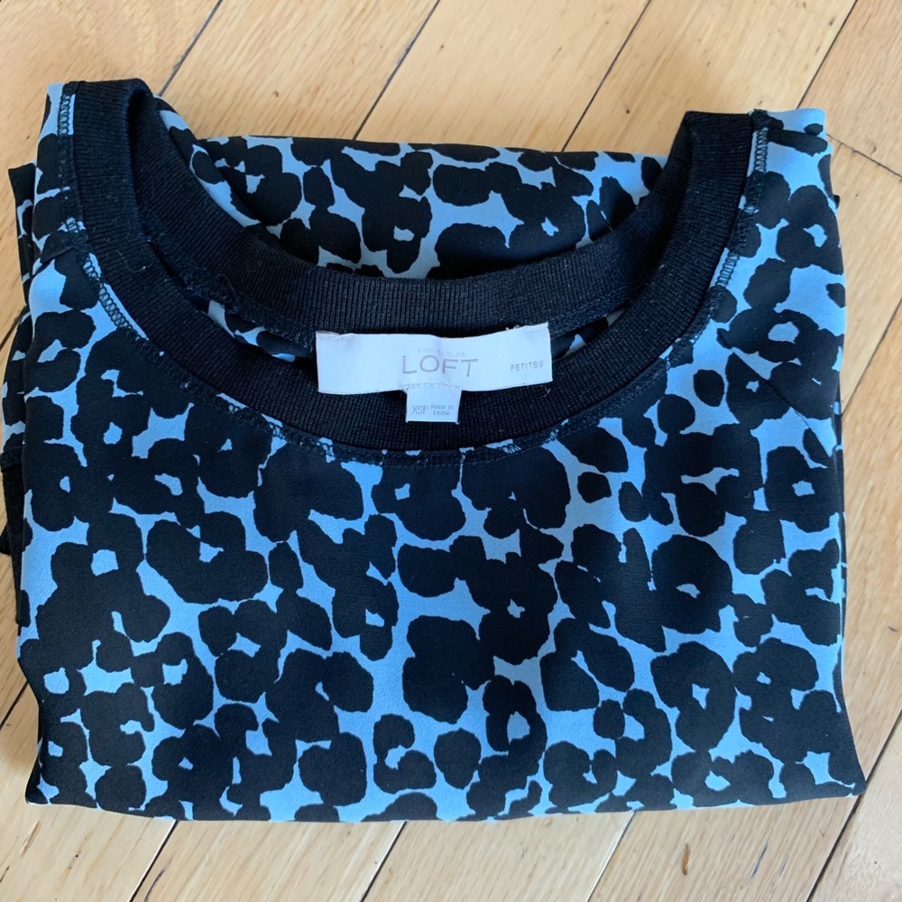 Petite Spotted Sweatshirt Blouse
